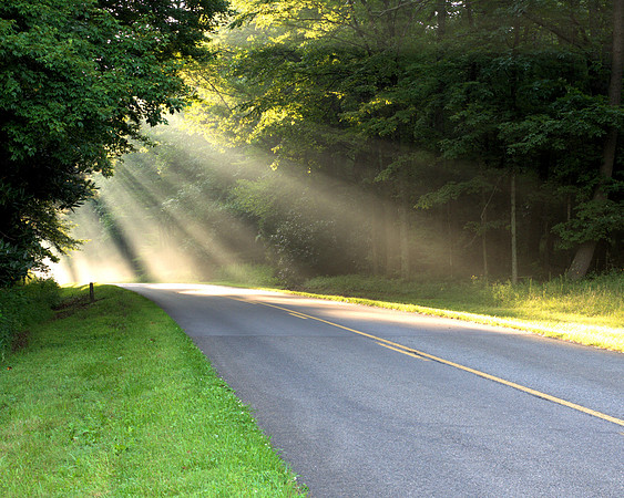 Morning Rays