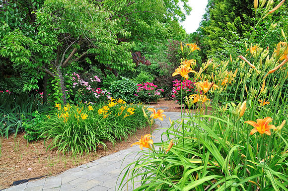 Hauss Park in Spring